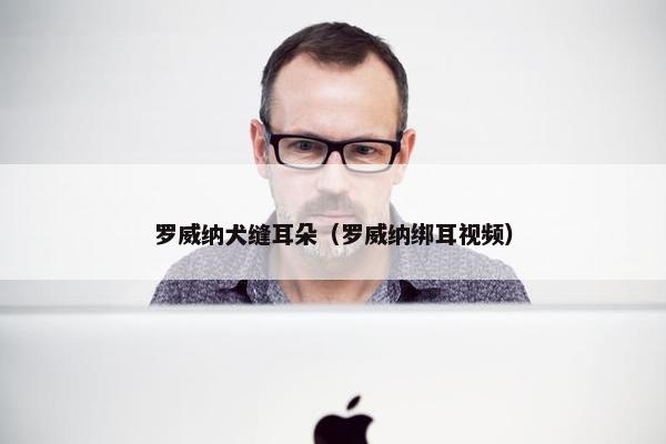 罗威纳犬缝耳朵（罗威纳绑耳视频）