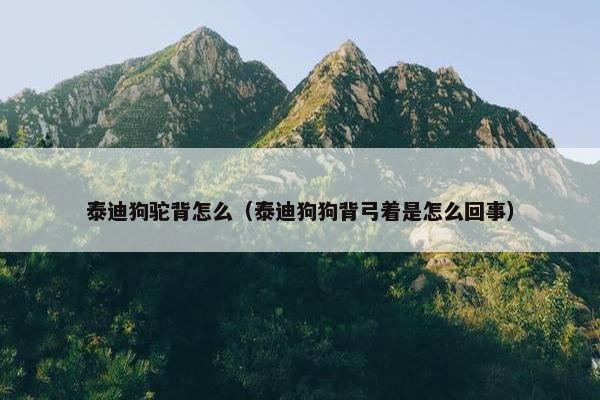 泰迪狗驼背怎么（泰迪狗狗背弓着是怎么回事）