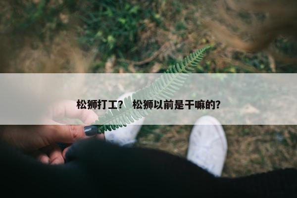 松狮打工？ 松狮以前是干嘛的？