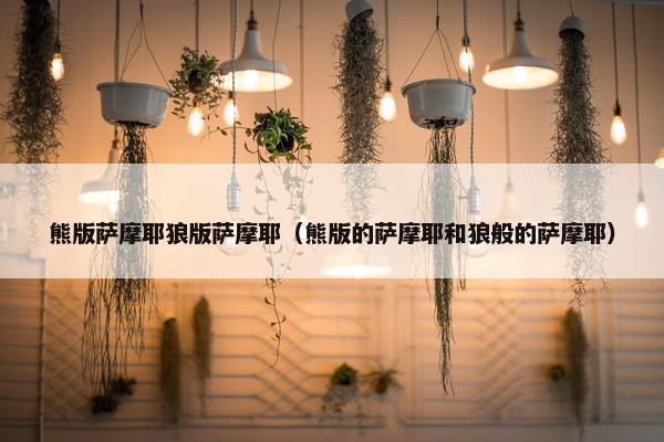 熊版萨摩耶狼版萨摩耶（熊版的萨摩耶和狼般的萨摩耶）