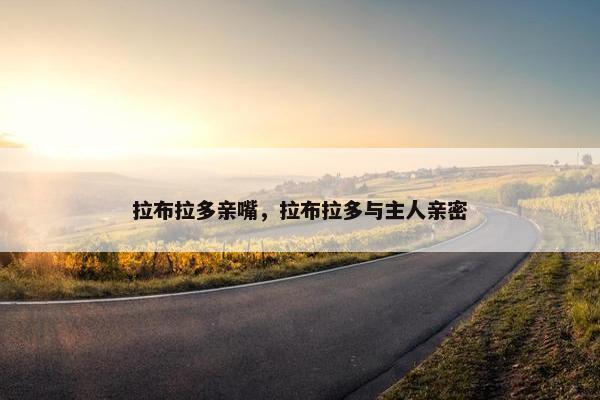 拉布拉多亲嘴，拉布拉多与主人亲密