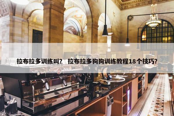 拉布拉多训练叫？ 拉布拉多狗狗训练教程18个技巧？