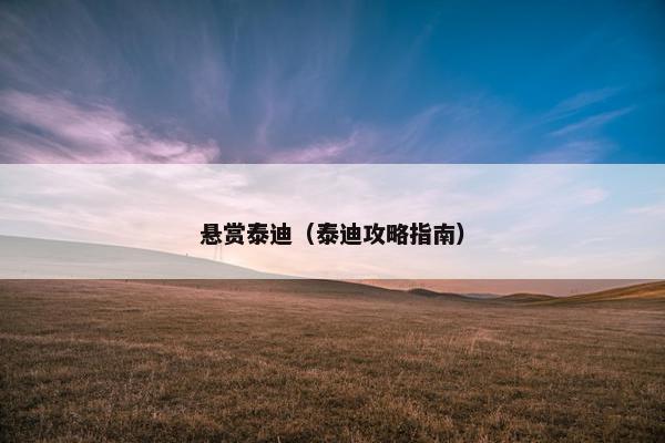 悬赏泰迪（泰迪攻略指南）
