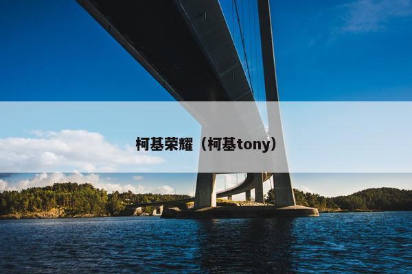 柯基荣耀（柯基tony）