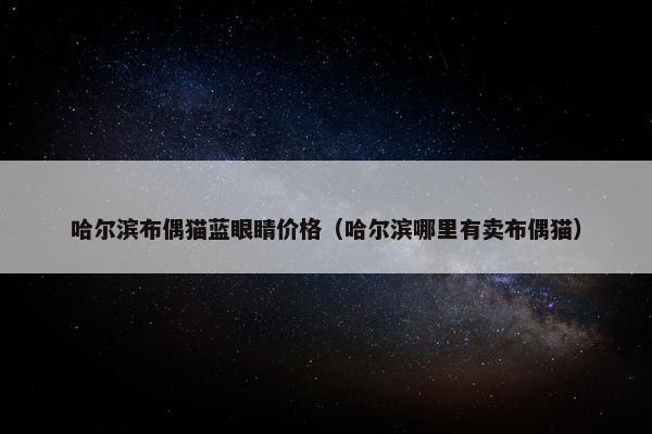 哈尔滨布偶猫蓝眼睛价格（哈尔滨哪里有卖布偶猫）