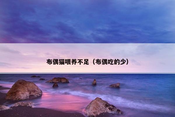 布偶猫喂养不足（布偶吃的少）