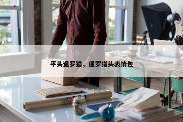 平头暹罗猫，暹罗猫头表情包