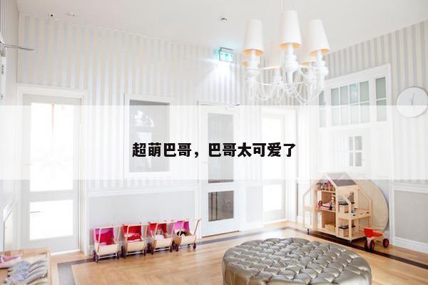 超萌巴哥，巴哥太可爱了