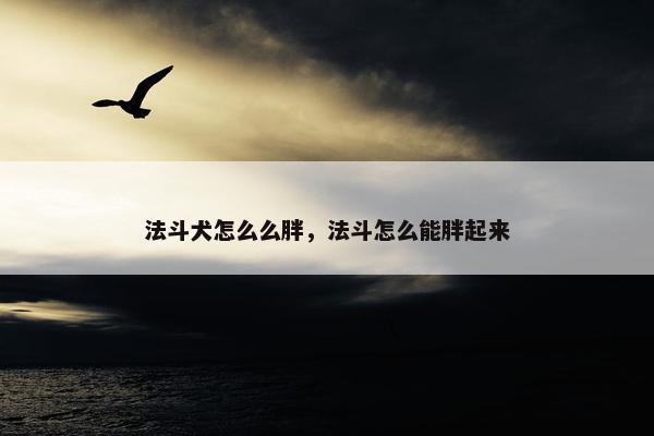 法斗犬怎么么胖，法斗怎么能胖起来