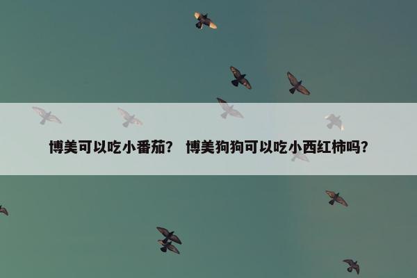 博美可以吃小番茄？ 博美狗狗可以吃小西红柿吗？