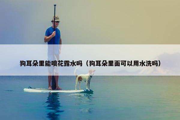狗耳朵里能喷花露水吗（狗耳朵里面可以用水洗吗）