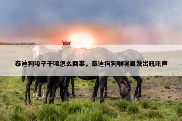 泰迪狗嗓子干呕怎么回事，泰迪狗狗喉咙里发出吼吼声