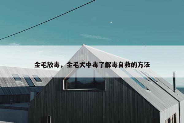 金毛放毒，金毛犬中毒了解毒自救的方法