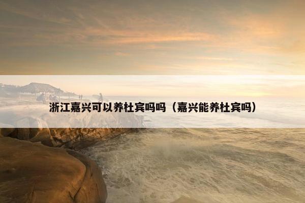 浙江嘉兴可以养杜宾吗吗（嘉兴能养杜宾吗）