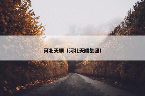 河北天顺（河北天顺集团）