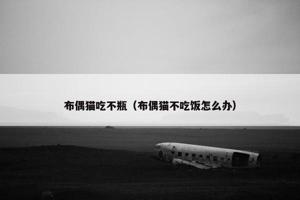布偶猫吃不瓶（布偶猫不吃饭怎么办）