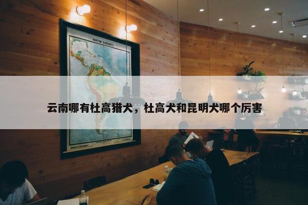 云南哪有杜高猎犬，杜高犬和昆明犬哪个厉害