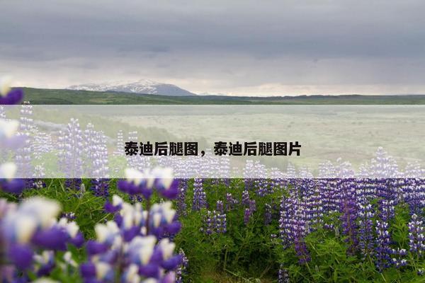 泰迪后腿图，泰迪后腿图片