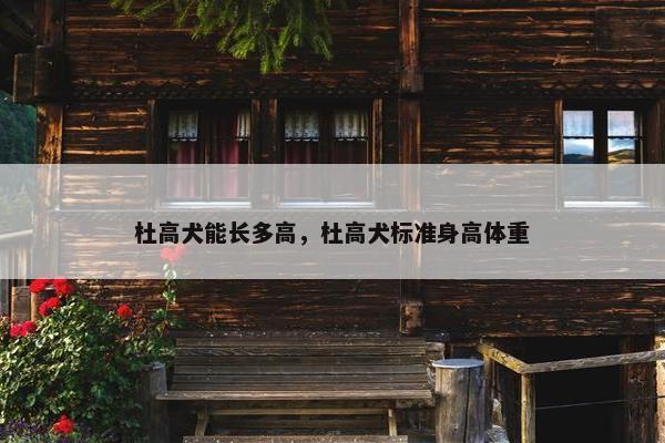 杜高犬能长多高，杜高犬标准身高体重
