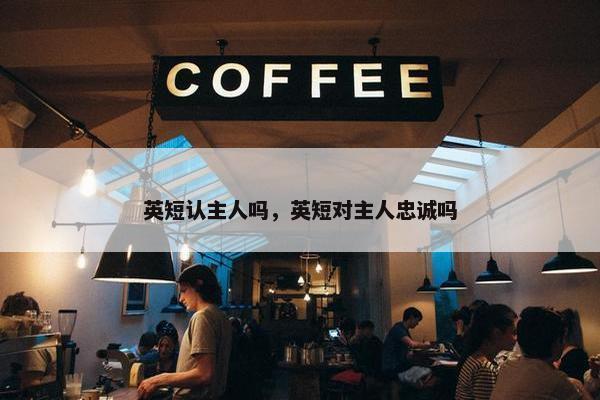 英短认主人吗，英短对主人忠诚吗