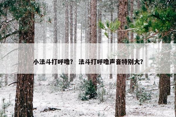 小法斗打呼噜？ 法斗打呼噜声音特别大？