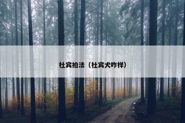 杜宾拍法（杜宾犬咋样）