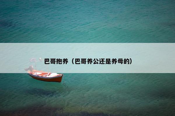 巴哥抱养（巴哥养公还是养母的）