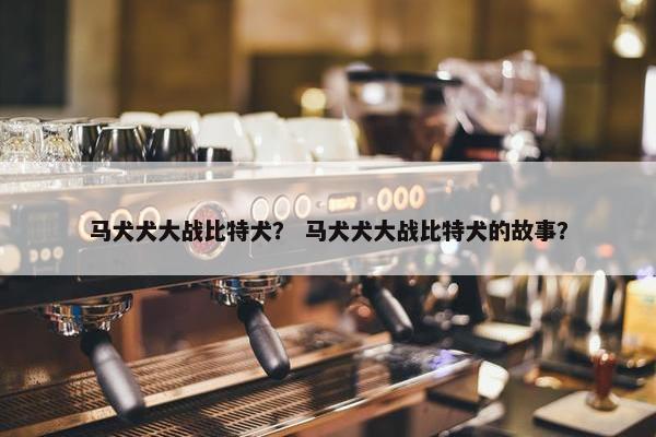 马犬犬大战比特犬？ 马犬犬大战比特犬的故事？