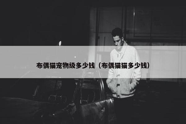 布偶猫宠物级多少钱（布偶猫猫多少钱）