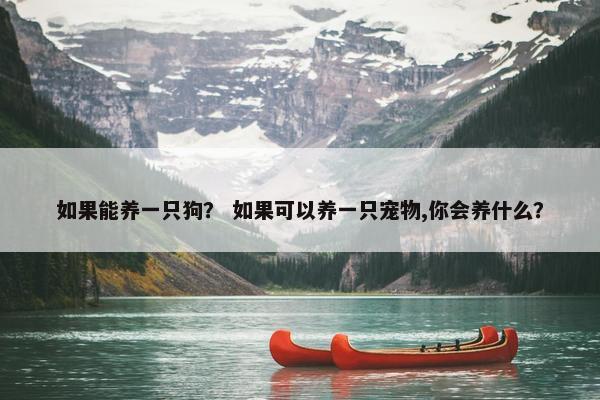 如果能养一只狗？ 如果可以养一只宠物,你会养什么？