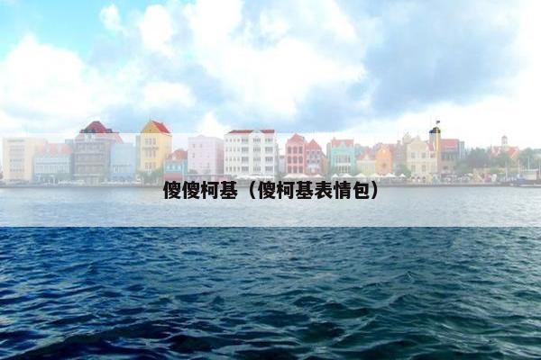 傻傻柯基（傻柯基表情包）