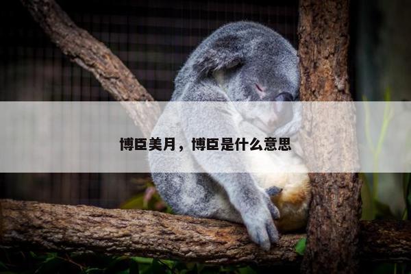 博臣美月，博臣是什么意思