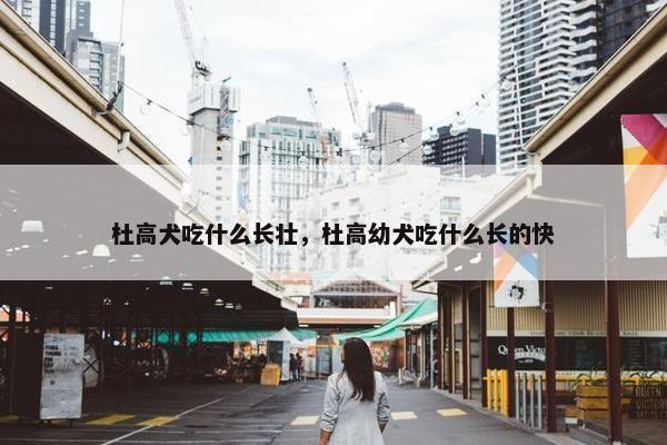杜高犬吃什么长壮，杜高幼犬吃什么长的快