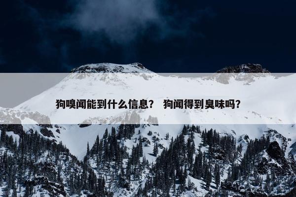 狗嗅闻能到什么信息？ 狗闻得到臭味吗？