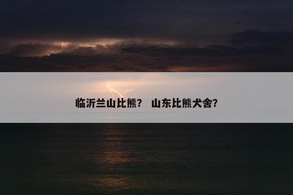 临沂兰山比熊？ 山东比熊犬舍？