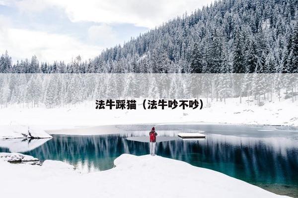法牛踩猫（法牛吵不吵）