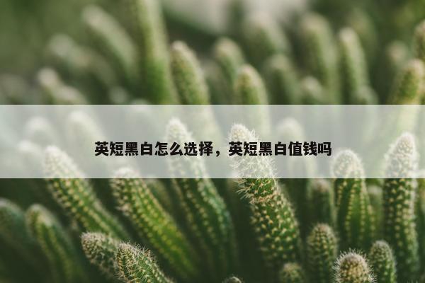 英短黑白怎么选择，英短黑白值钱吗