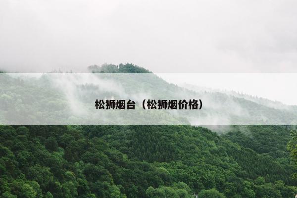 松狮烟台（松狮烟价格）