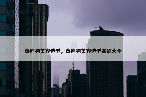泰迪狗美容造型，泰迪狗美容造型名称大全