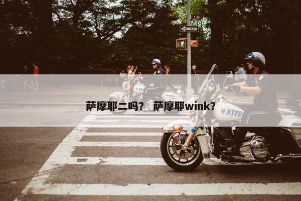 萨摩耶二吗？ 萨摩耶wink？
