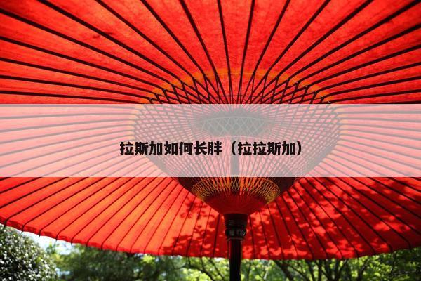 拉斯加如何长胖（拉拉斯加）