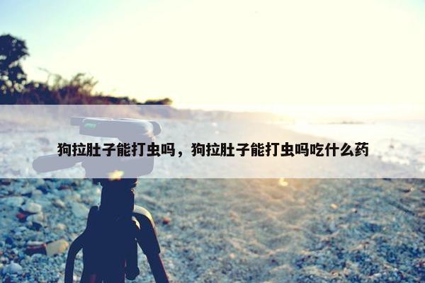 狗拉肚子能打虫吗，狗拉肚子能打虫吗吃什么药