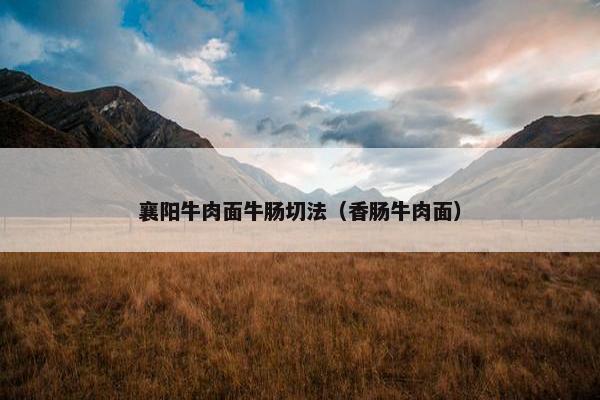 襄阳牛肉面牛肠切法（香肠牛肉面）