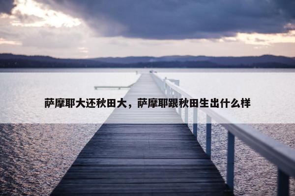 萨摩耶大还秋田大，萨摩耶跟秋田生出什么样
