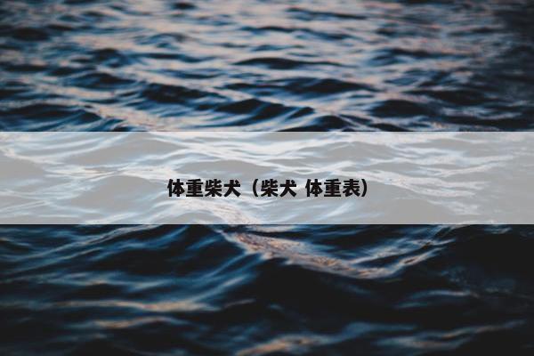 体重柴犬（柴犬 体重表）