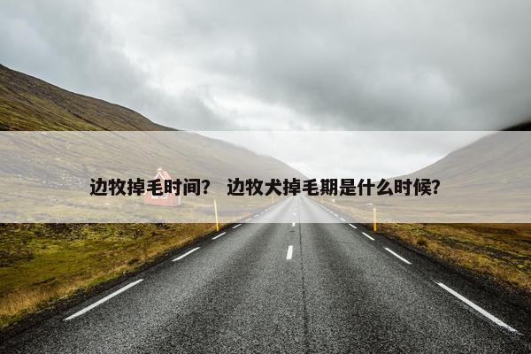 边牧掉毛时间？ 边牧犬掉毛期是什么时候？