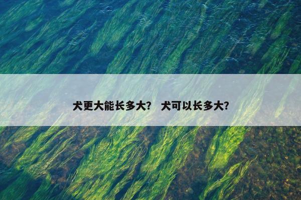 犬更大能长多大？ 犬可以长多大？