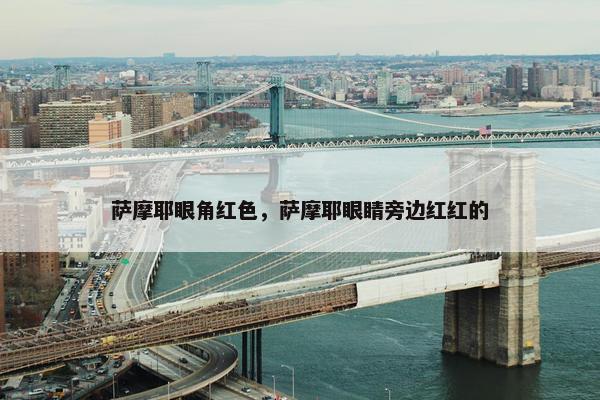 萨摩耶眼角红色，萨摩耶眼睛旁边红红的