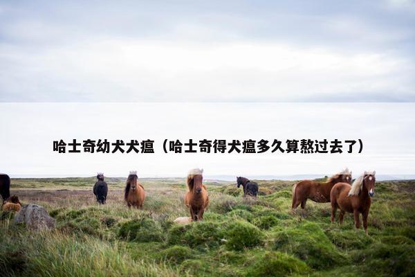 哈士奇幼犬犬瘟（哈士奇得犬瘟多久算熬过去了）