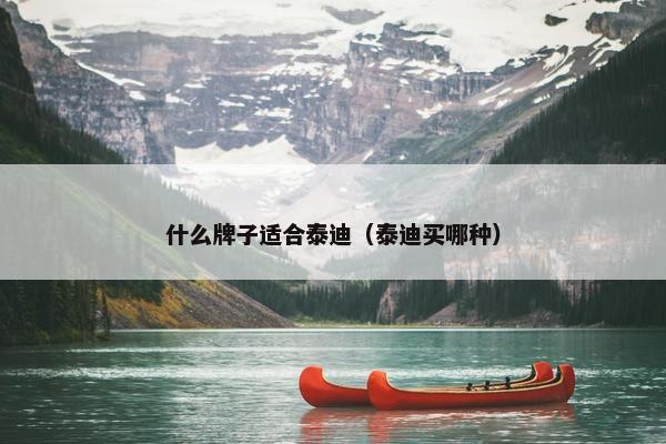 什么牌子适合泰迪（泰迪买哪种）